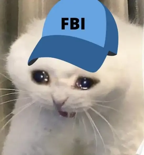  ảnh meme fbi  10