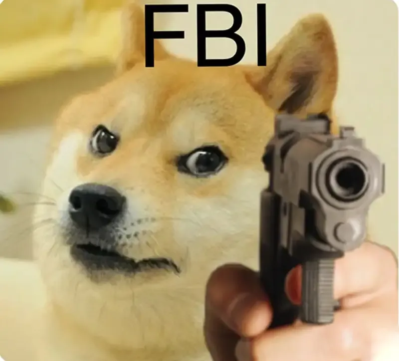  ảnh meme fbi  12