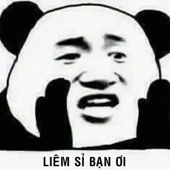 tập ảnh meme gấu  3