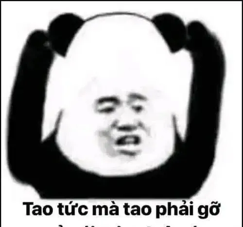 tập ảnh meme gấu  4