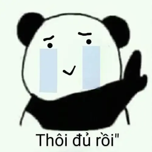 tập ảnh meme gấu  26