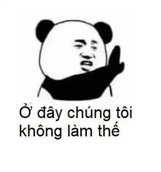 tập ảnh meme gấu  27