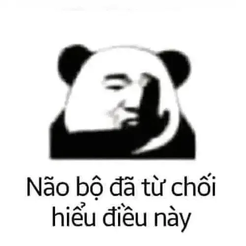 tập ảnh meme gấu  11