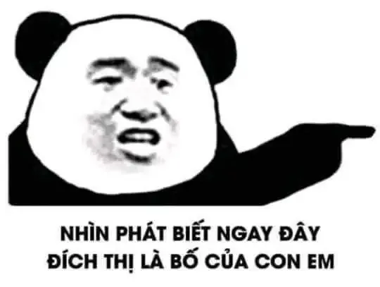 tập ảnh meme gấu  13