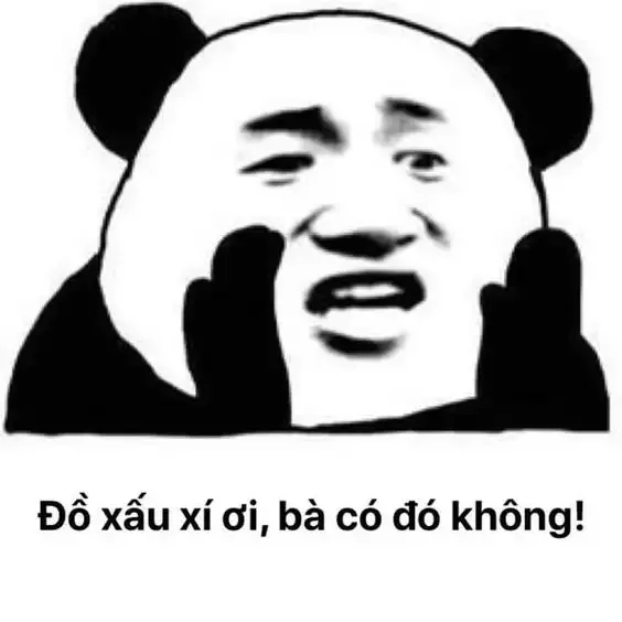 tập ảnh meme gấu  28