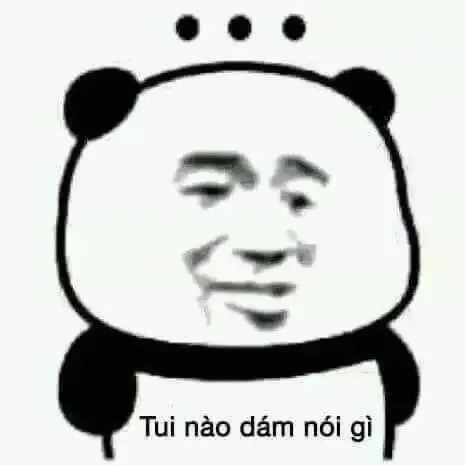 tập ảnh meme gấu  29