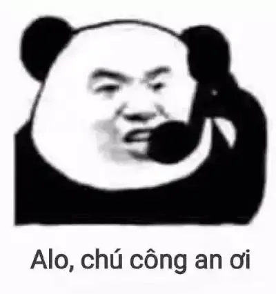 tập ảnh meme gấu  17