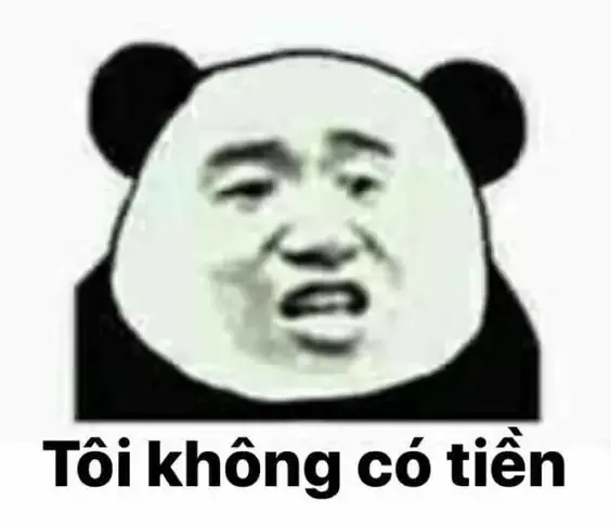 tập ảnh meme gấu  30