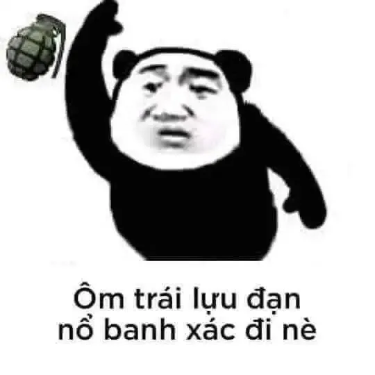 tập ảnh meme gấu  18