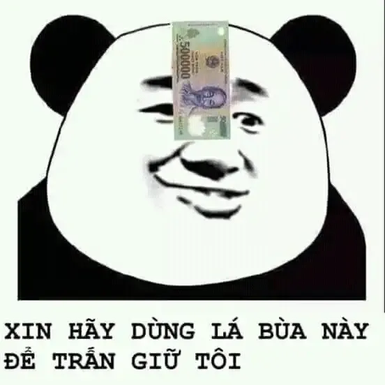 tập ảnh meme gấu  21