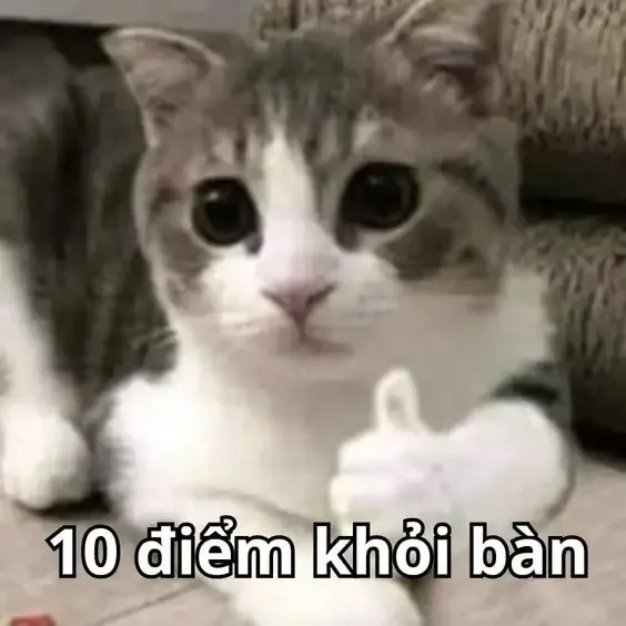 ảnh Meme hài  13