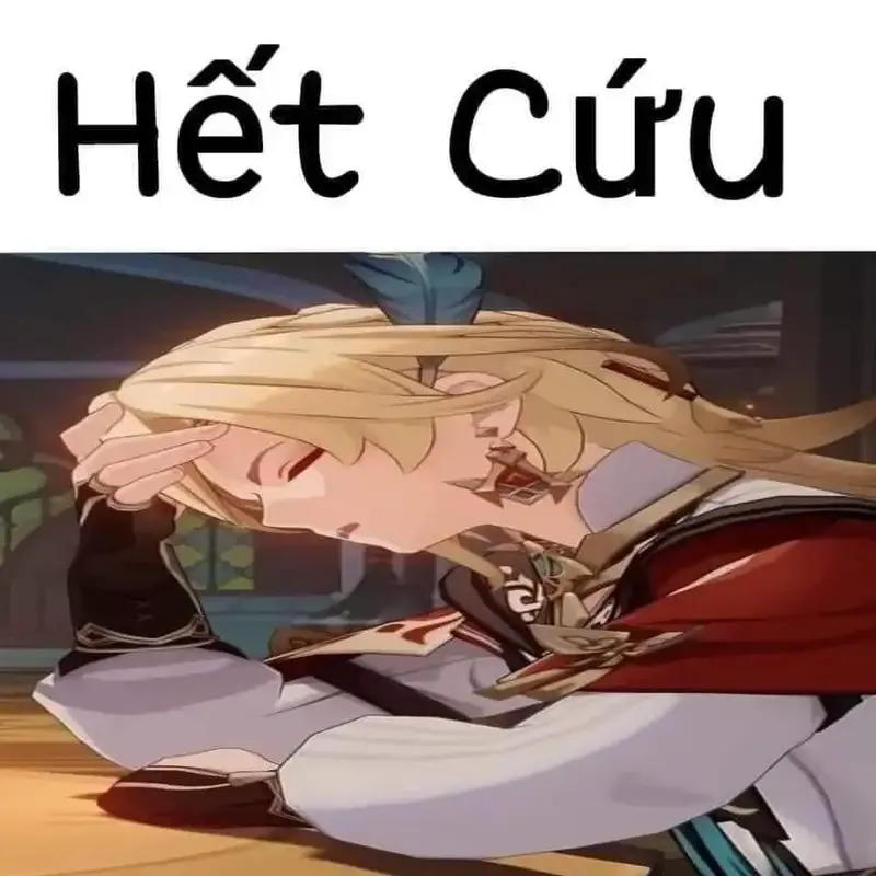 ảnh Meme hết cứu 3