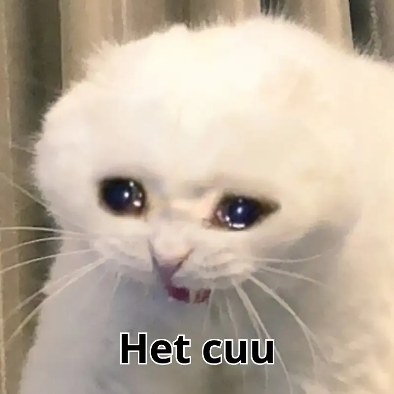 ảnh Meme hết cứu 10