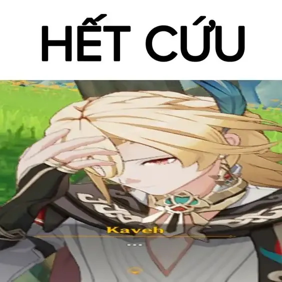 ảnh Meme hết cứu 12