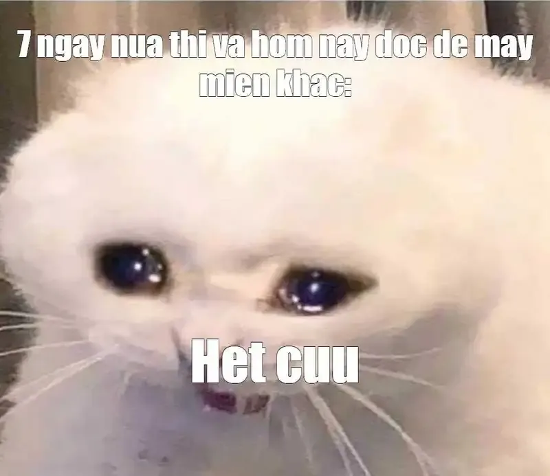 ảnh Meme hết cứu 18