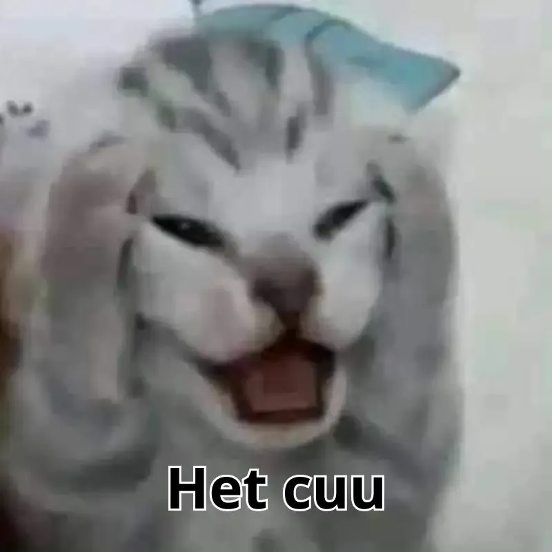 ảnh Meme hết cứu 19