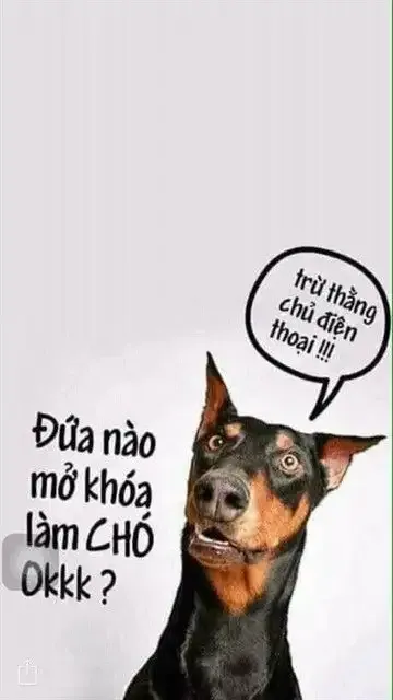 ảnh meme làm hình nền  4