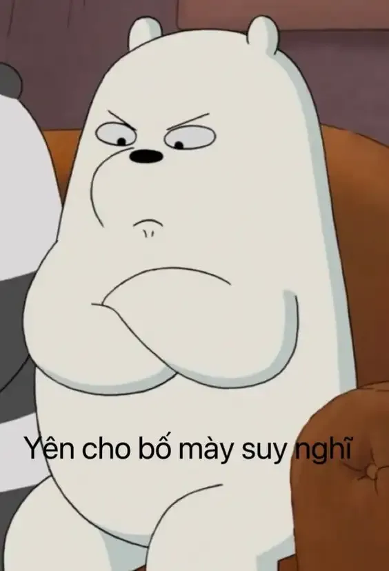 ảnh meme làm hình nền  31