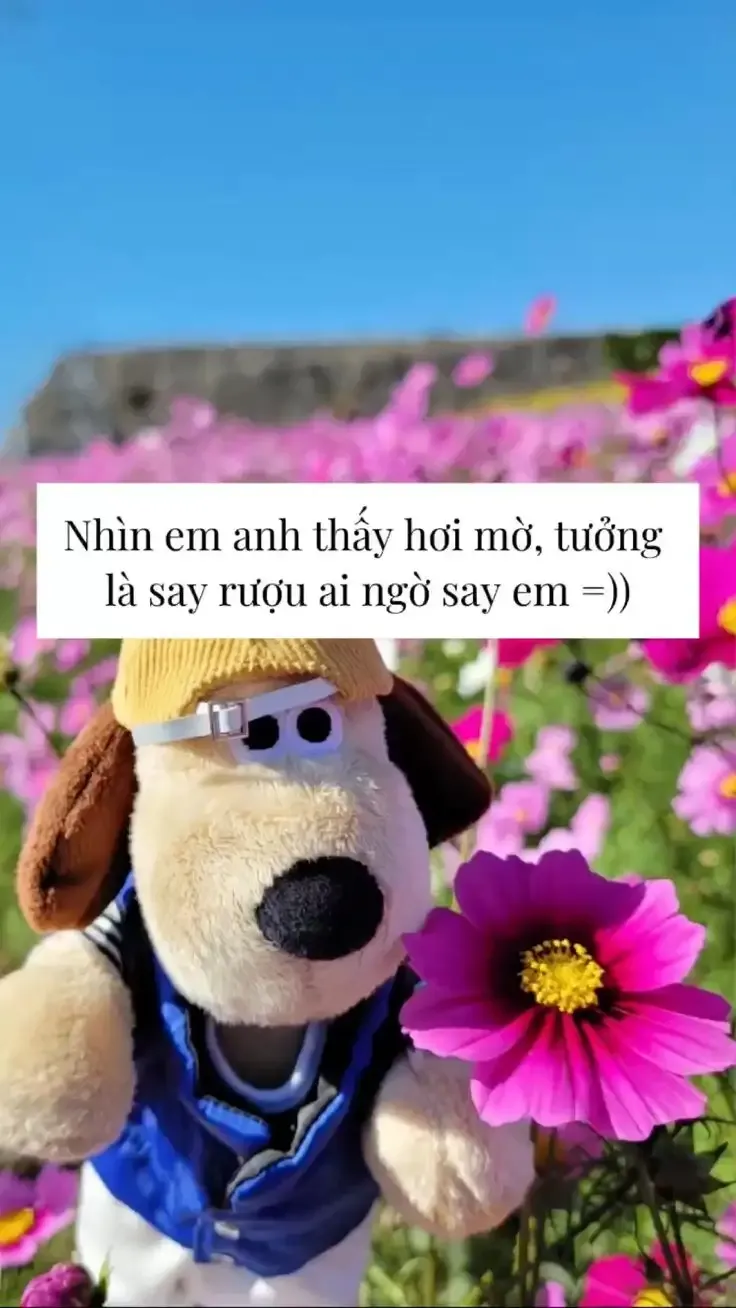 ảnh meme tặng hoa  6