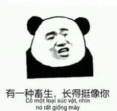 meme Trung Quốc  3