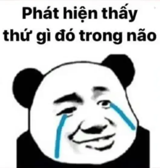 meme Trung Quốc  24