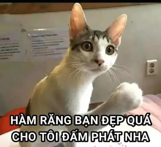 ảnh meme tức giận 14