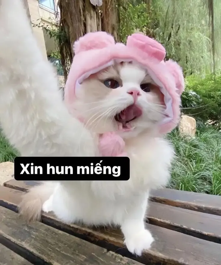 ảnh meme tức giận 28