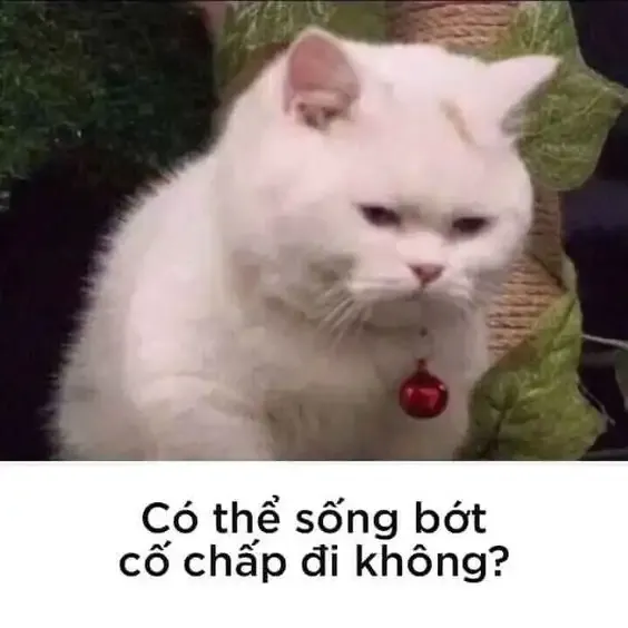 ảnh meme tức giận 30