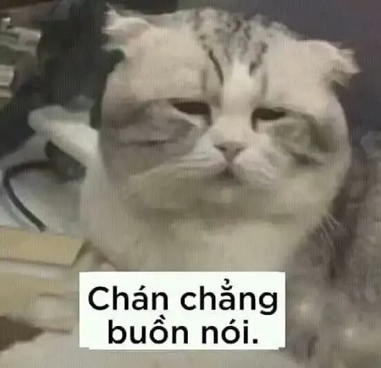 ảnh meme tức giận 13