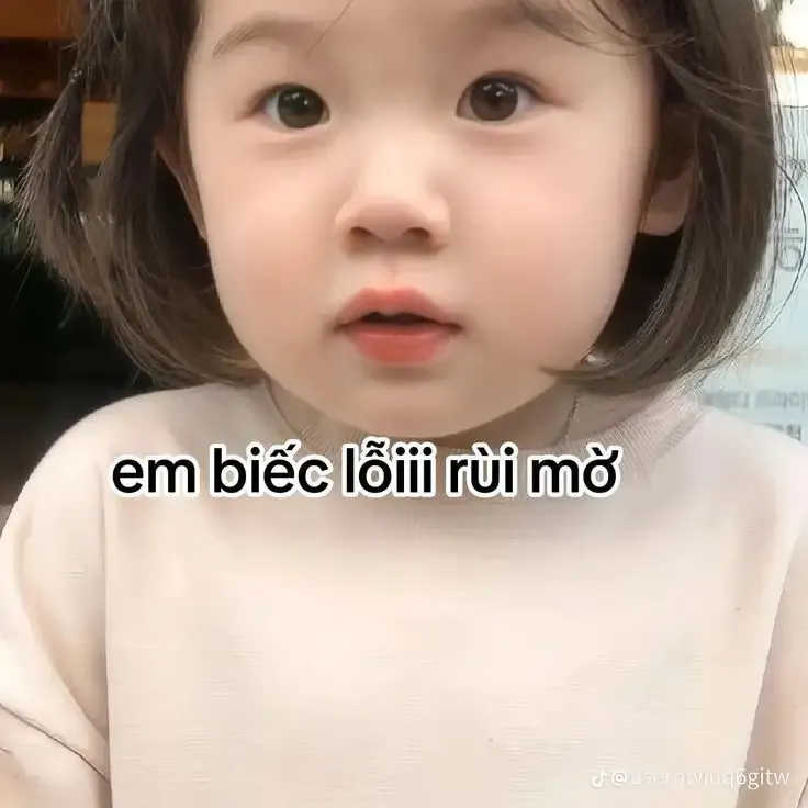  ảnh meme xin lỗi  1