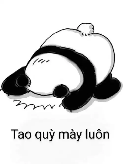  ảnh meme xin lỗi  16