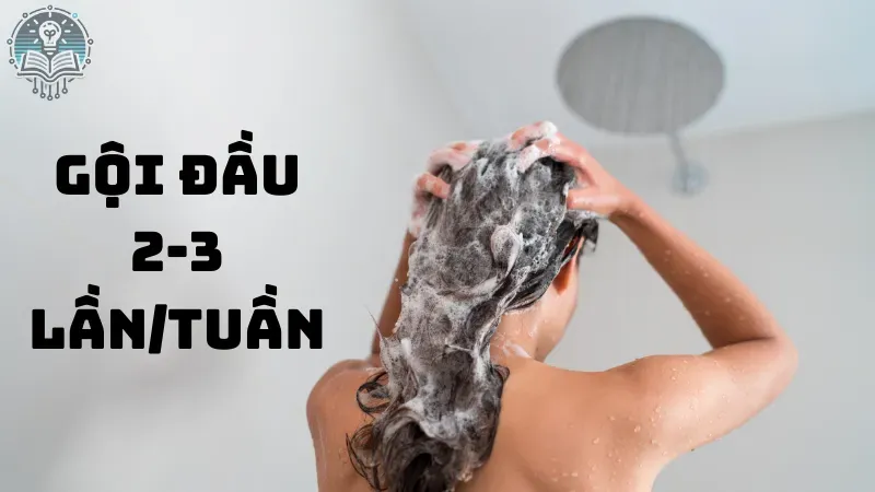 Hạn chế gội đầu quá nhiều