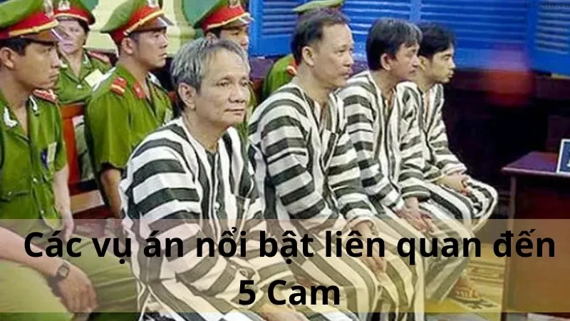 5 Cam là ai 04