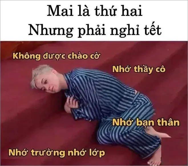 ảnh tết meme 53