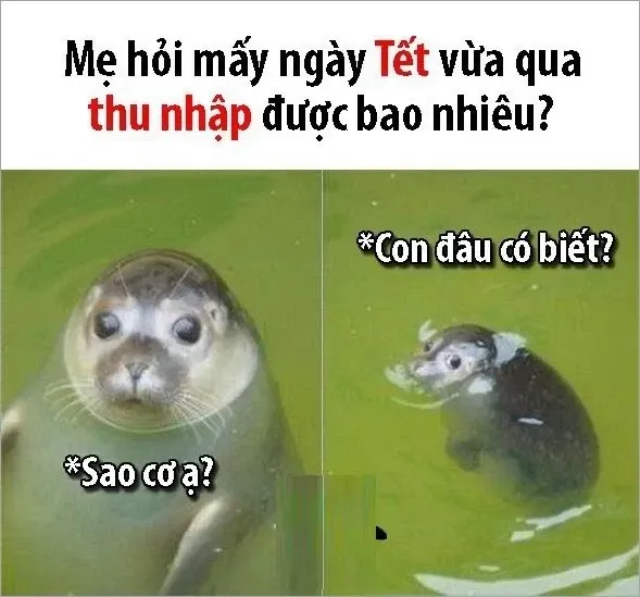 ảnh tết meme 81