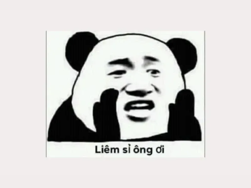 các meme nổi tiếng 7