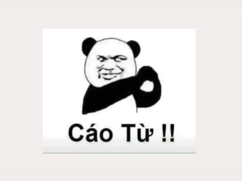 các meme nổi tiếng 8