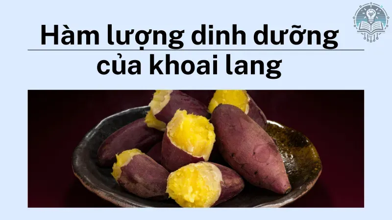 cách ăn khoai lang giảm cân 1