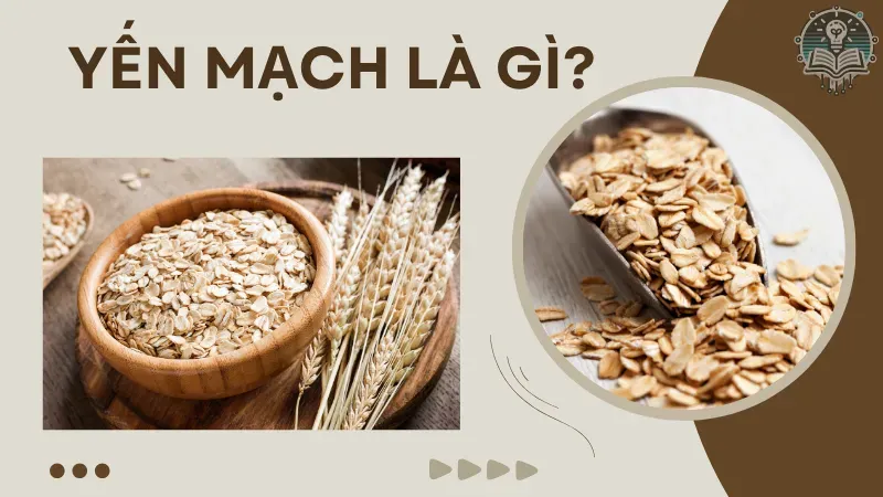 cách ăn yến mạch giảm cân 1