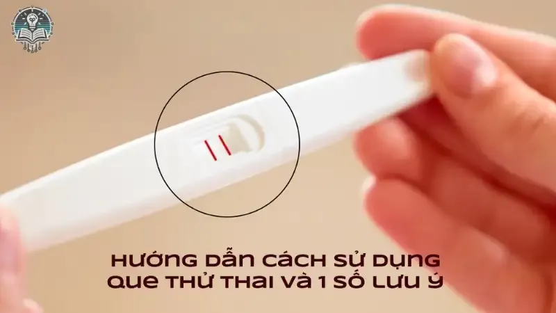 Nguyên lý hoạt động của que thử thai 1