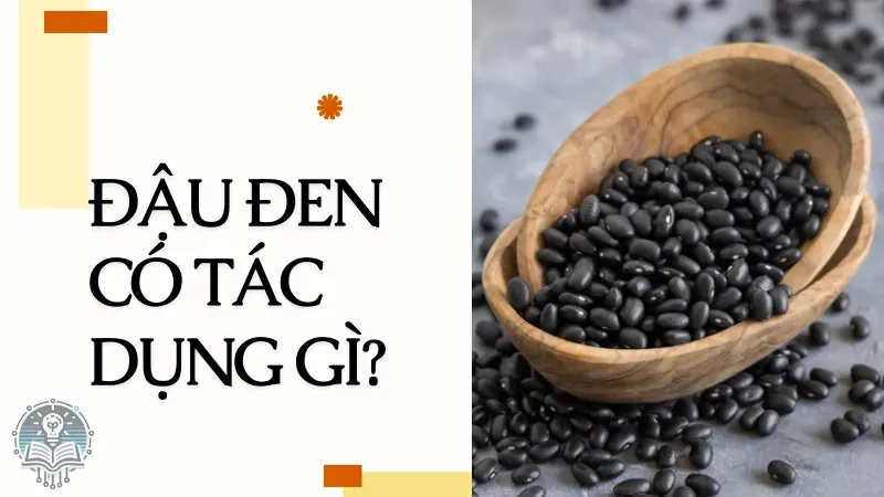 cách giảm cân bằng đỗ đen 1