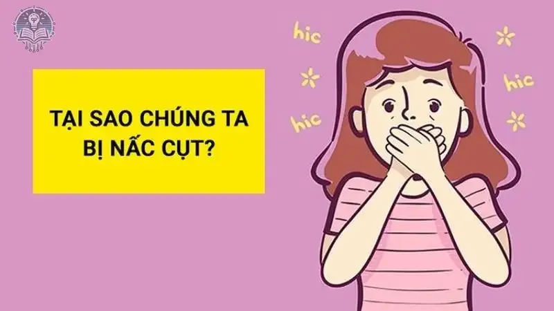 Nguyên nhân gây nấc cụt 1