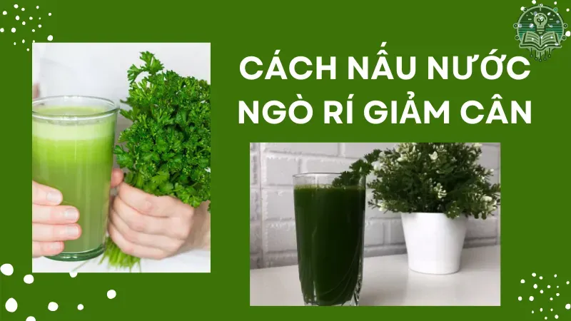 cách nấu nước ngò rí uống giảm cân 4