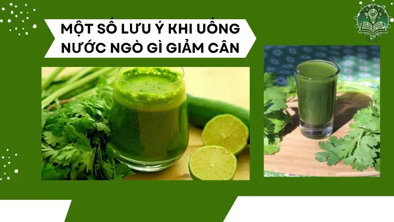 cách nấu nước ngò rí uống giảm cân 6