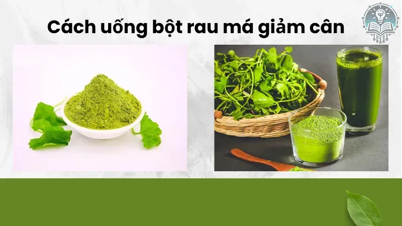 cách uống bột rau má giảm cân 4