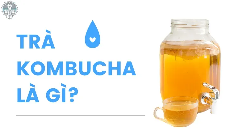 cách uống kombucha giảm cân 1