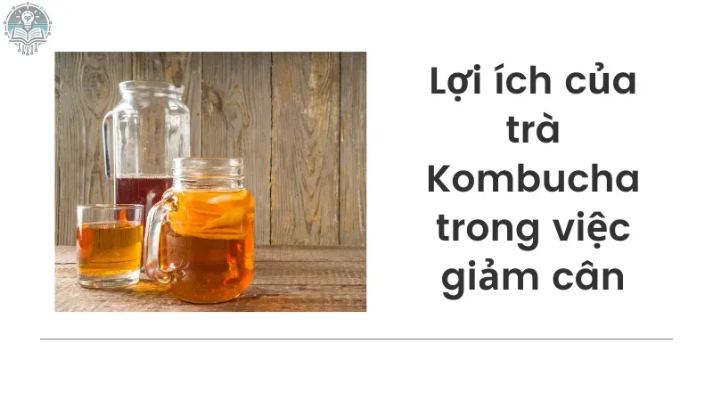 cách uống kombucha giảm cân 2