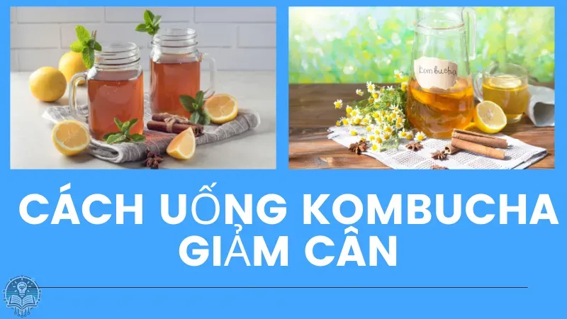 cách uống kombucha giảm cân 3