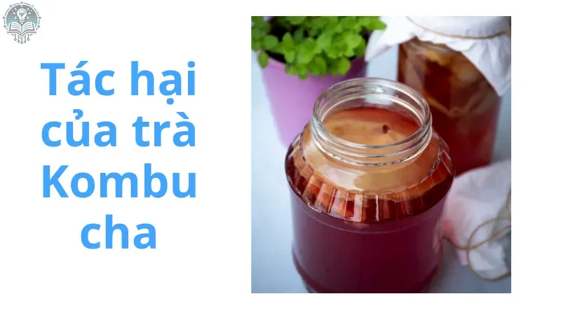 cách uống kombucha giảm cân 5