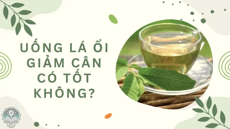 cách uống lá ổi giảm cân 2